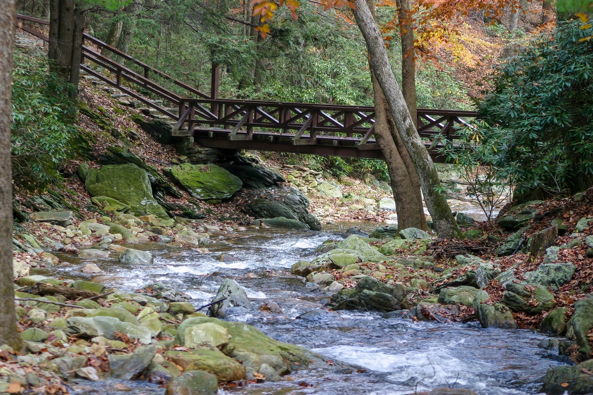 Catoctin Mountain Park, Maryland