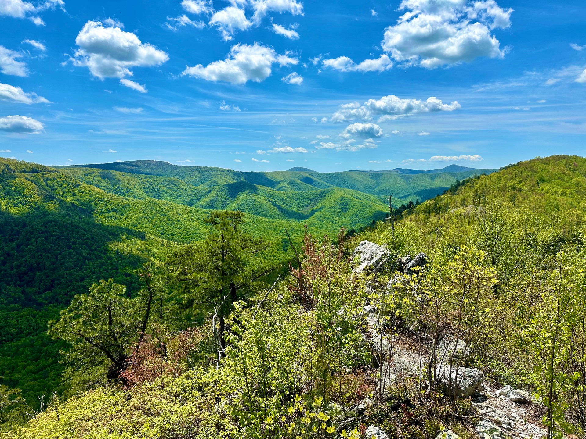 Shenandoah National Park Landscape